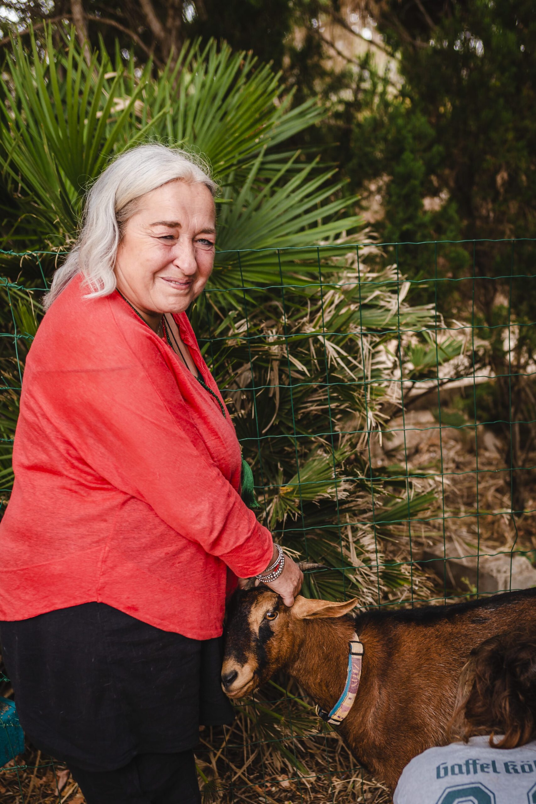Leilani´s Arche, ein Gnadenhof für Tiere auf Mallorca